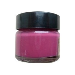 Cirage pour cuir crème recolorante azalee FAMACO