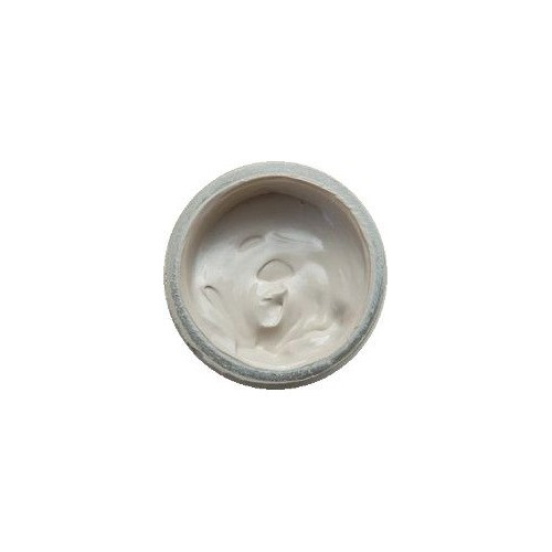 Cirage pour cuir crème recolorante champagne FAMACO