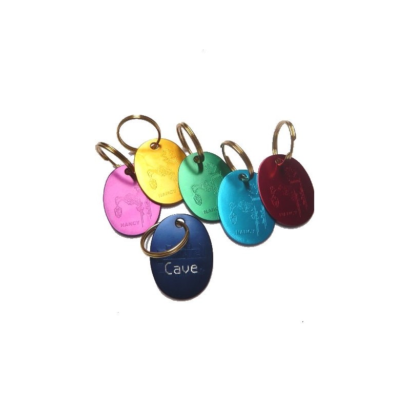 Porte clés titane Lot de 6 couleurs gravure 1 ligne Offerte Porte clés titane Lot de 6 couleurs gravure 1 ligne Offerte
