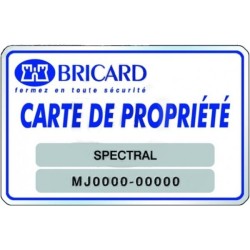 Clé BRICARD CHIFRAL avec mobile sur N°