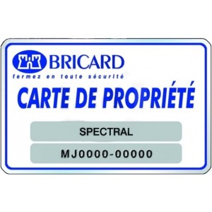 Clé BRICARD CHIFRAL sans mobile 