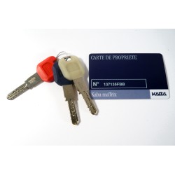 Cylindre monobloc adaptable KABA MaTrix pour serrure multipoints FICHET  Vertipoint et Fortissime 49X62mm
