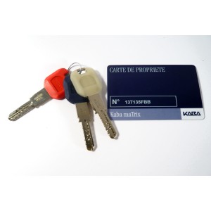 Cylindre monobloc adaptable KABA MaTrix pour serrure multipoints FICHET  Vertipoint et Fortissime 49X62mm