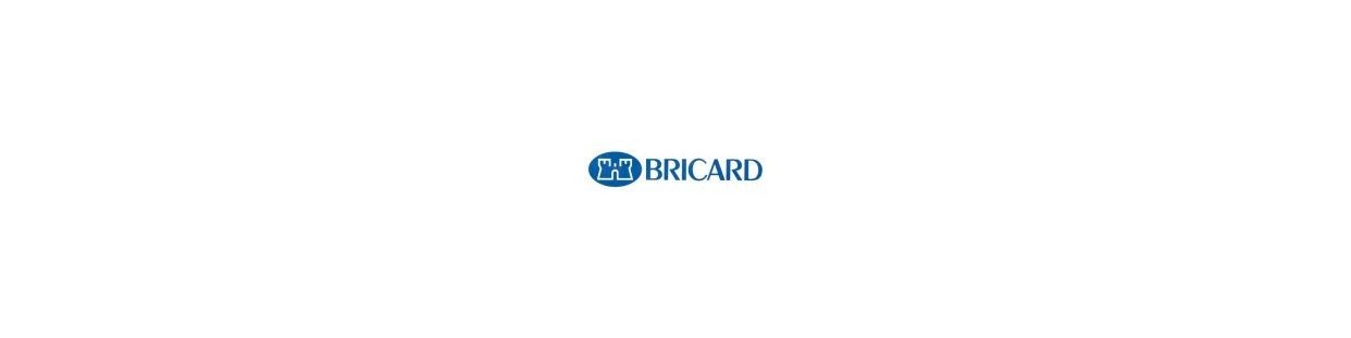 Clé BRICARD: Commander des clés BRICARD, Reproduction de clef BRICARD, copie clés BRICARD, Prix clé BRICARD- pluriel.fr